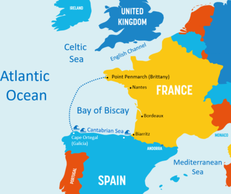 French Court Temporarily Halts Fishing in Bay of Biscay Amid Conservation Concerns