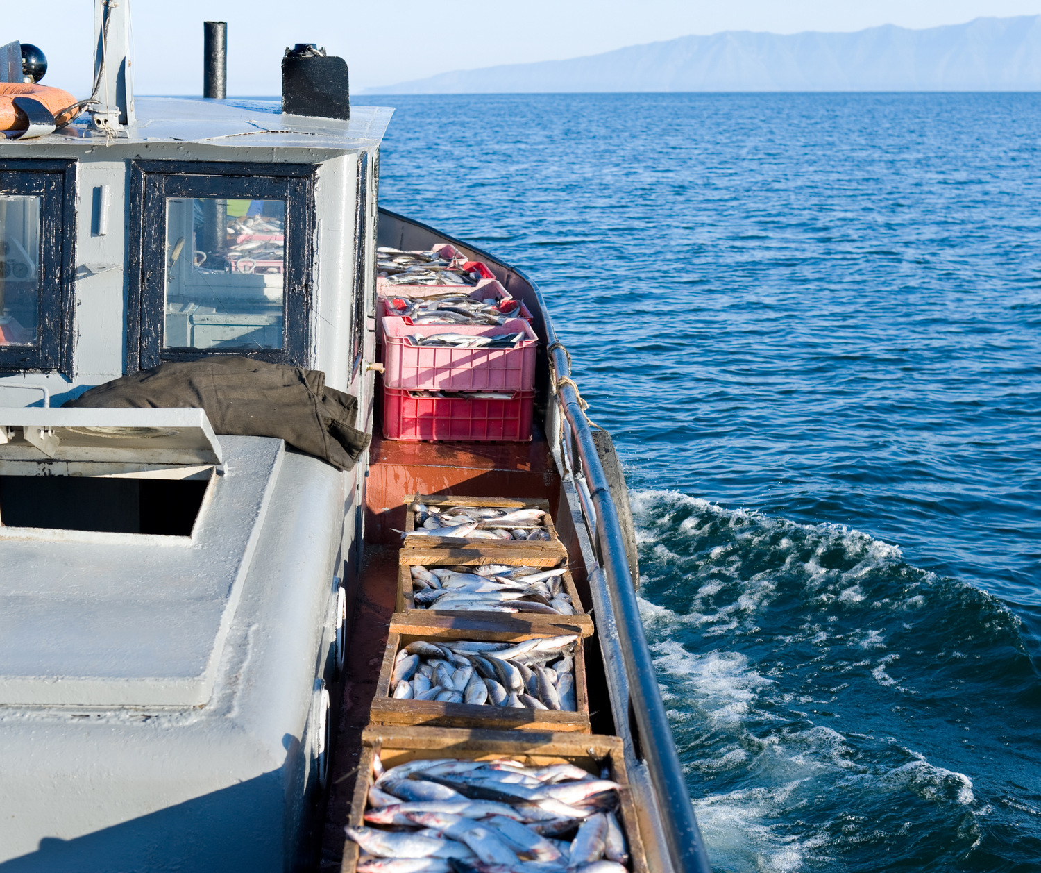 Biden Administration Commits $20 Million for Climate-Resilient Fisheries Management