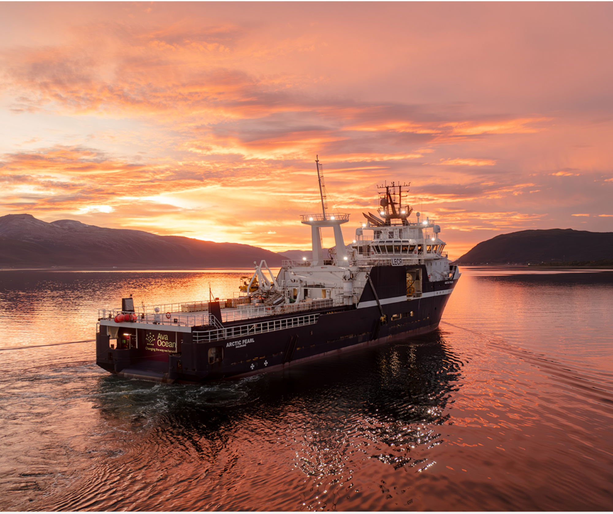 Scallop Harvesting Ban in Barents Sea Overturned with Ava Ocean's Innovative Solution in Norway