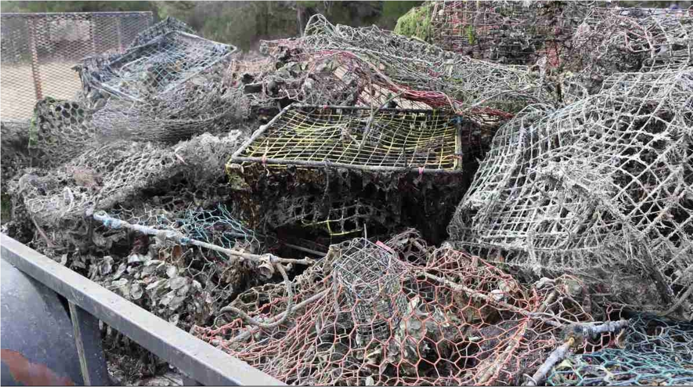 Fishermen Receive Compensation for Retrieving Discarded Traps, Safeguarding Wildlife from Abandoned Fishing Dangers